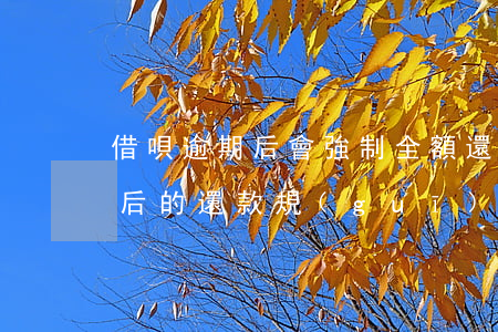 借唄逾期后會強制全額還款嗎，解析借唄逾期后的還款規(guī)定：是否會強制全額還款？
